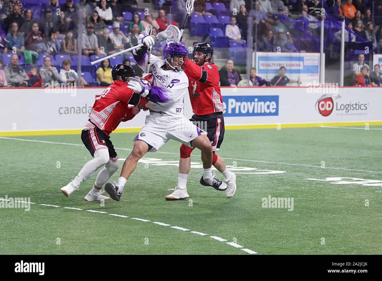2019 England vs USA box Lacrosse Weltmeisterschaft Stockfoto