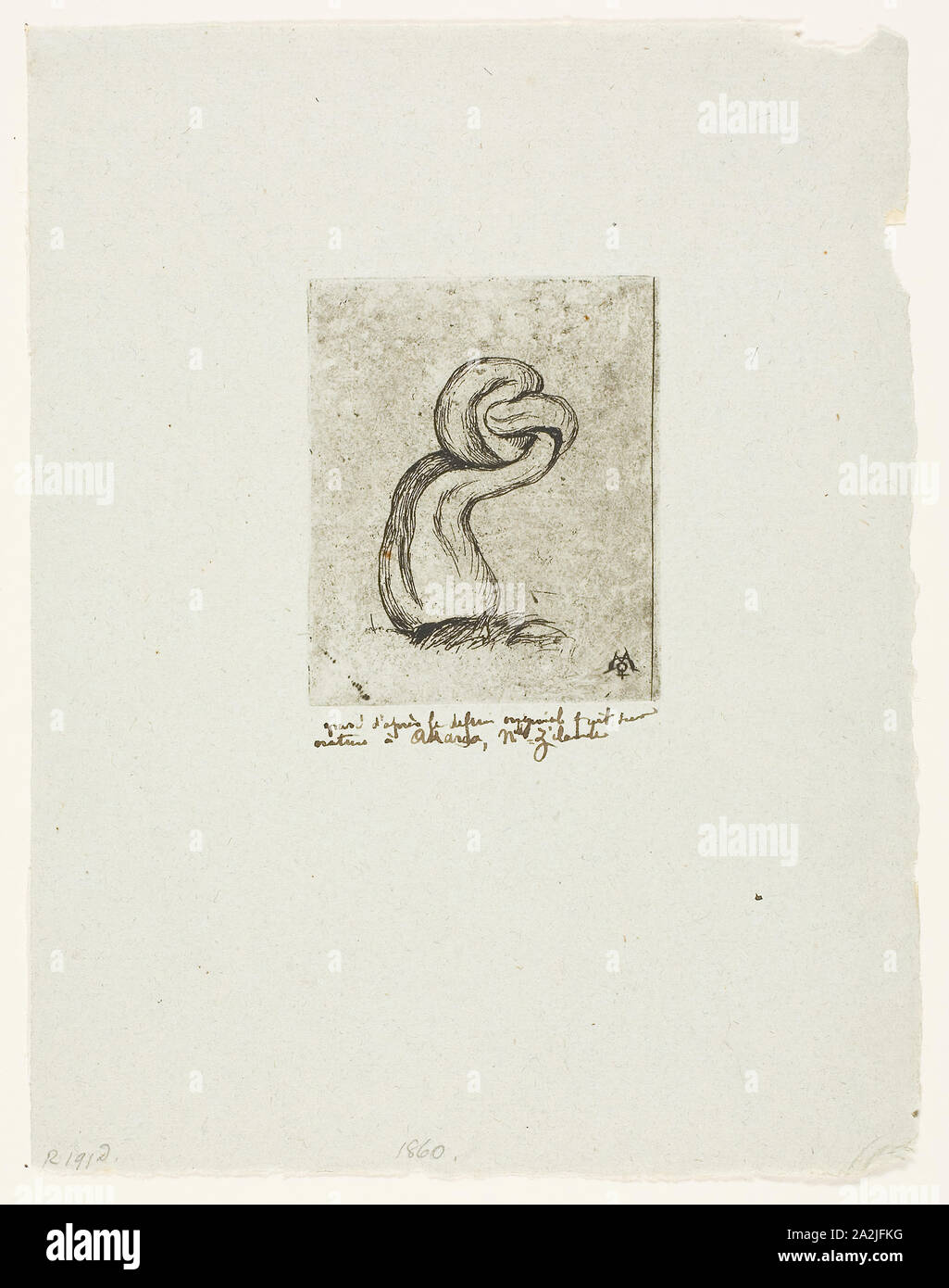 Die kränklich Cryptogam 1860, Charles Meryon, Französisch, 1821-1868, Frankreich, Radierung mit Platte Ton auf Blau-grün mit violetten und roten Fasern, 71 × 59 mm (Bild), 71 × 59 mm (Platte), 193 × 151 mm (Blatt Stockfoto