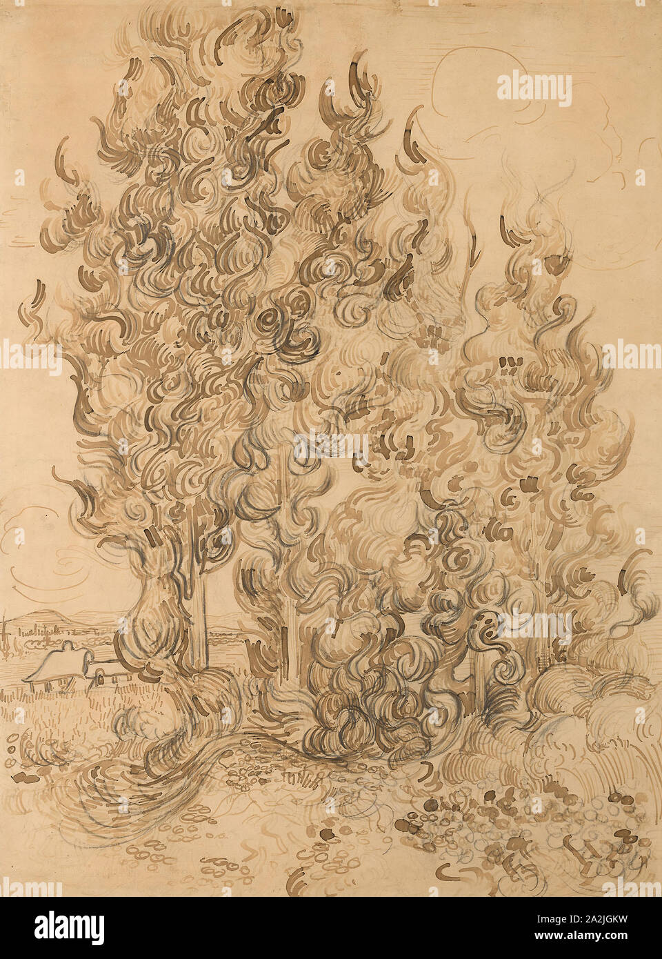 Zypressen, 1889, Vincent van Gogh, niederländischer, 1853-1890, Niederlande, Stift und Rohrfeder und braune Farben, mit Graphit, auf festem Papier webten, festgelegt auf Karte, 625 x 464 mm Stockfoto