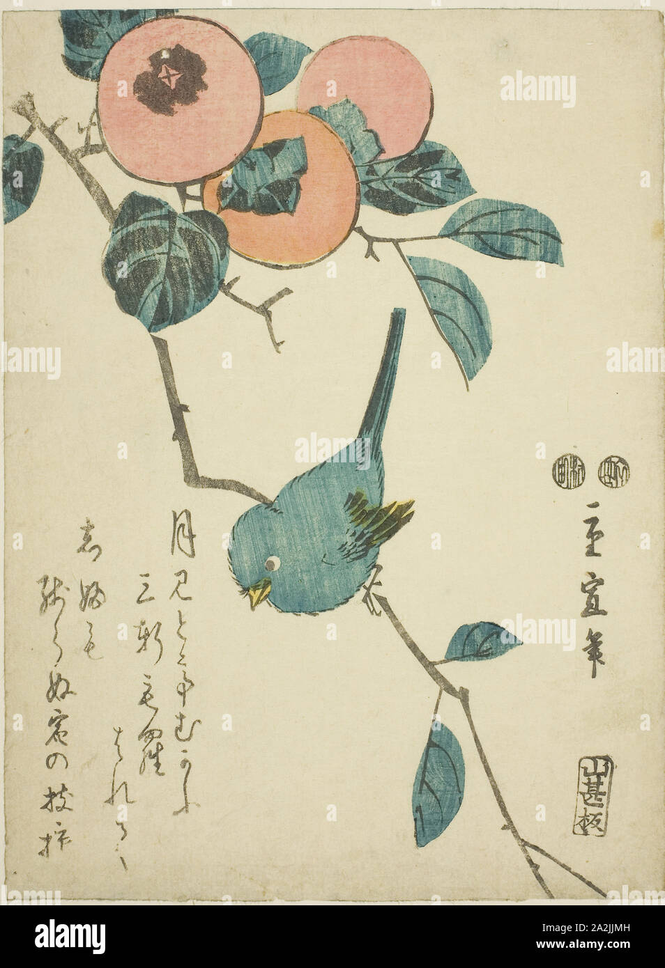 Japanische weiß - Auge und Kaki, C. 1847/52, Utagawa Hiroshige II (shigenobu), Japanisch, 1826 - 1869, Japan, Farbe holzschnitt, Koban, 22,2 x 16,5 cm (8 3/4 x 6 1/2 in. Stockfoto