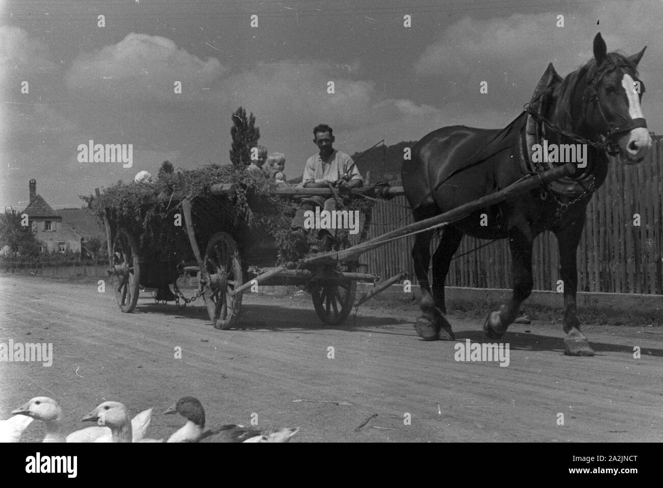 Eine Reise / Pommersfeld und Iphofen Deutsches Reich 30er Jahre. Eine Reise nach Pommersfeld und Iphofen, Deutschland 1930. Stockfoto