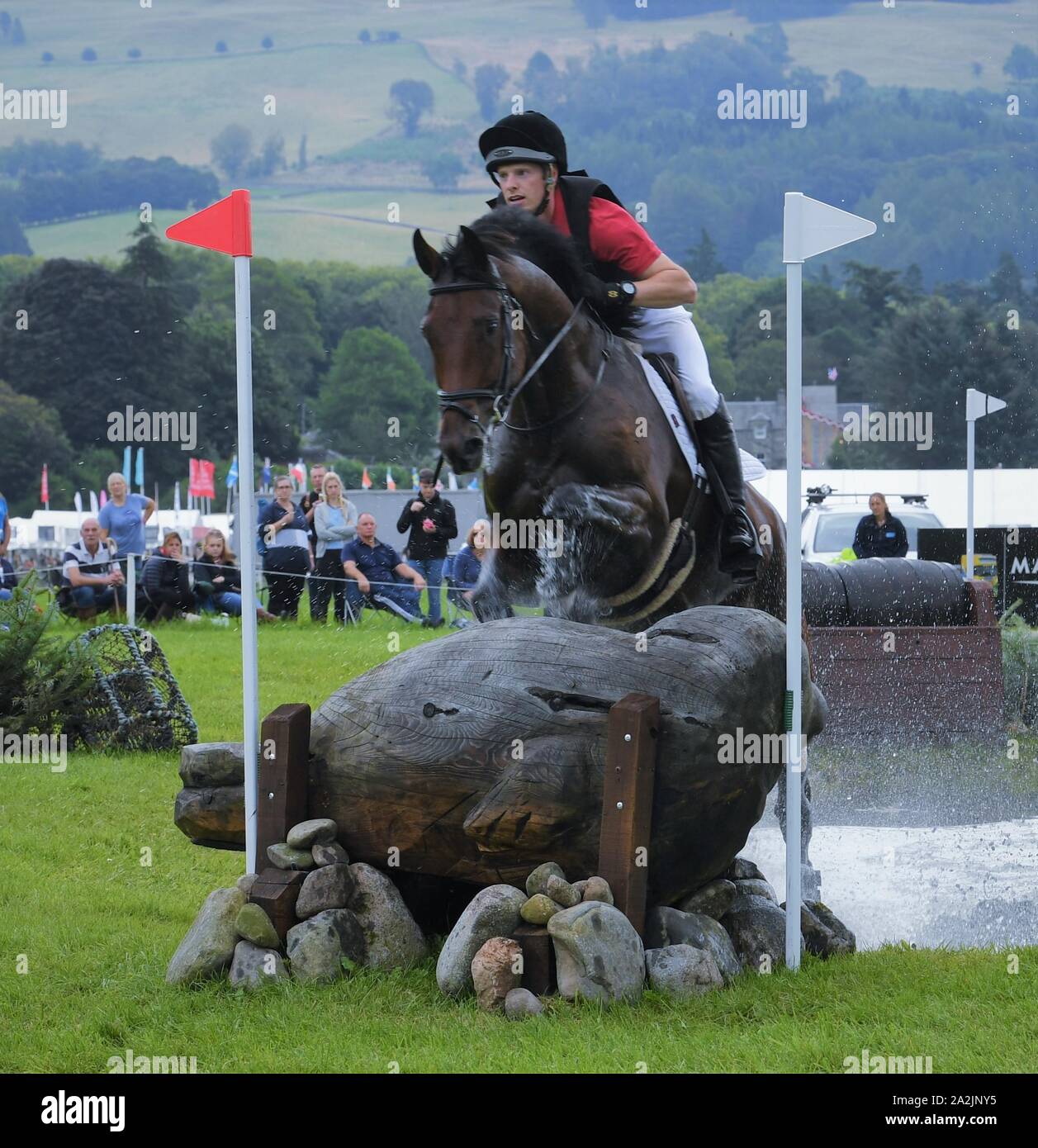 Maler Bay - 7-jähriger Wallach 16. hh-geritten von Ben Hobday-CC 12* - L-Klasse - Blairs International Horse Trials 12.08.2019. Perthshire. Stockfoto