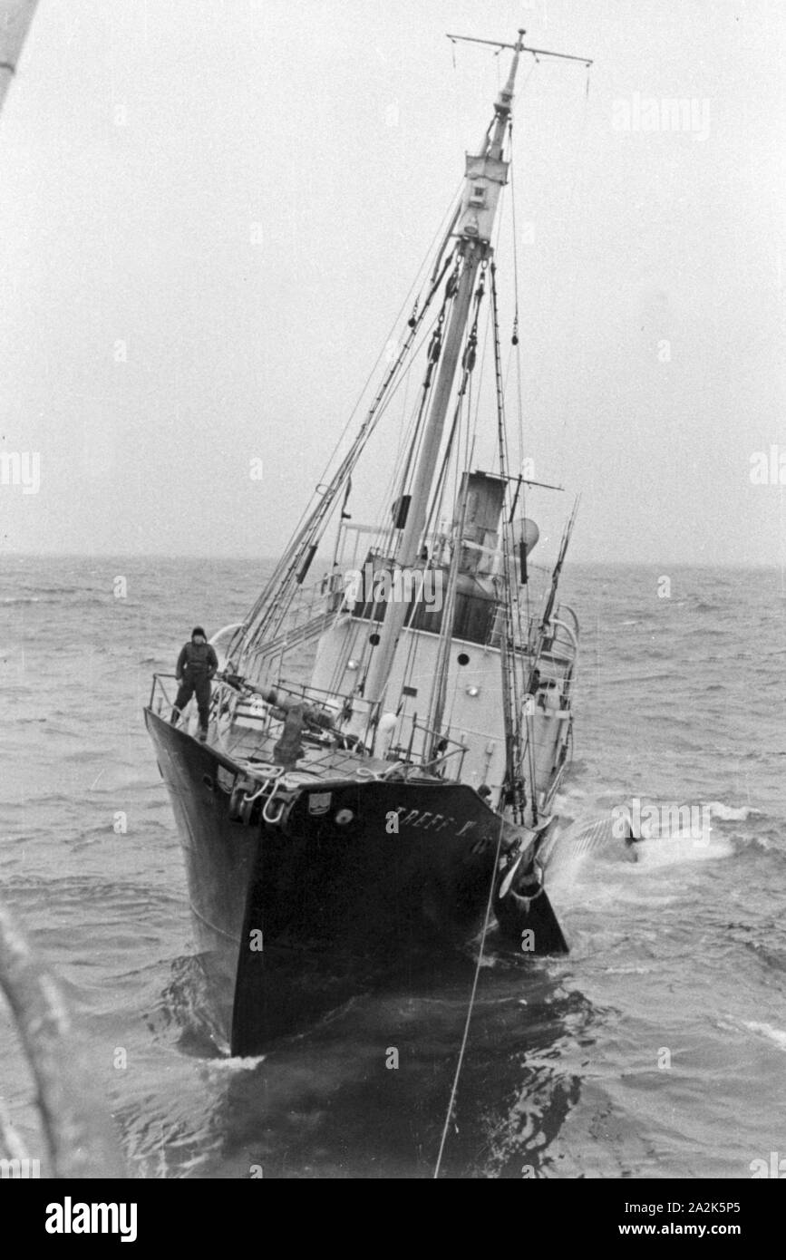 Das Fangboot' Treff VI' vom Mutterschiff "Jan Wellem" der deutschen Walfangflotte in der Arktis, 1930er Jahre. Walfang Boot "Treff VI' von Mutter Schiff "Jan Wellem" des Deutschen Walfangflotte im Arktischen Meer, 1930er Jahre. Stockfoto