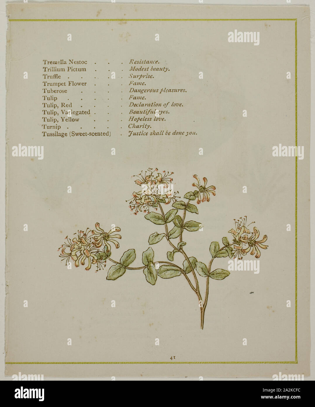 Baldrian durch Volkamenia, von der beleuchteten Sprache der Blumen, veröffentlicht 1884, wahrscheinlich Edmund Evans (Englisch, 1826-1905), nach Kate Greenaway (Englisch, 1846-1901), von Edmund Evans, England gedruckt, Farbe holzstich (chromoxylograph) Reproduktion von einem Aquarell auf Papier Stockfoto