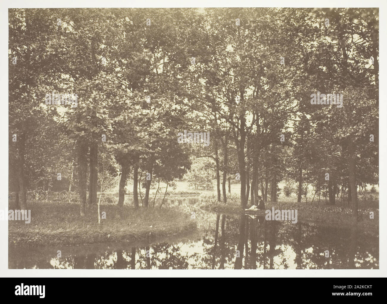 Untitled, C. 1850, Charles Marville, Französisch, 1813-1879, Frankreich, Eiklar drucken, aus der Serie "Bois de Boulogne Stockfoto
