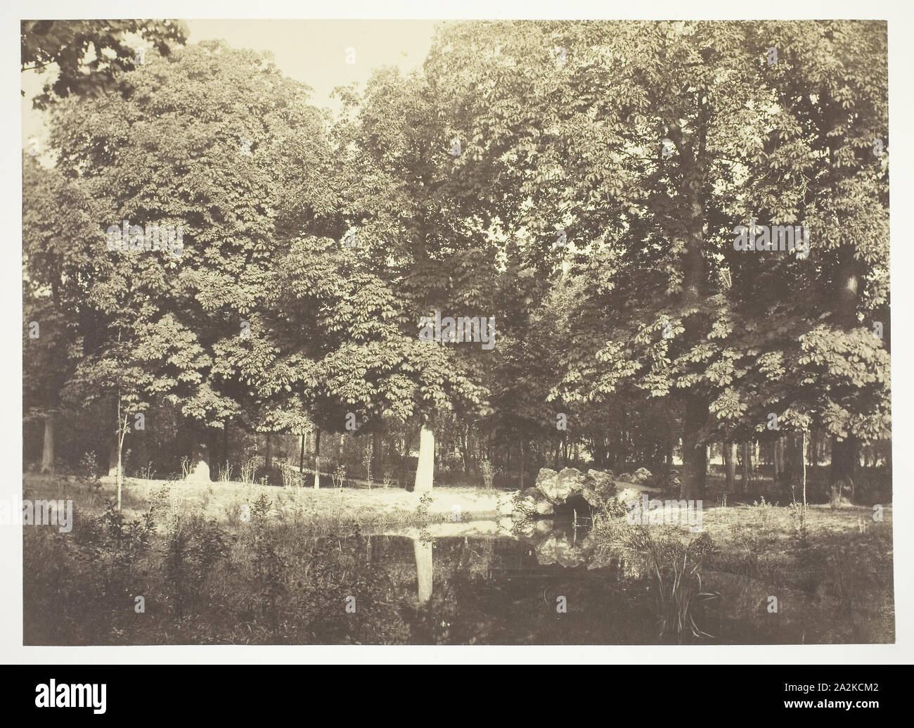 Untitled, C. 1850, Charles Marville, Französisch, 1813-1879, Frankreich, Eiklar drucken, aus der Serie "Bois de Boulogne Stockfoto