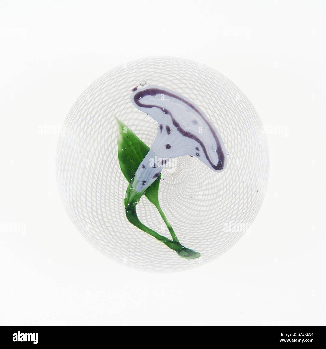 Briefbeschwerer, C. 1845/60, Clichy, Frankreich, 1837-1885, Frankreich, Glas, Durchm. 7,1 cm (2 13/16-in Stockfoto