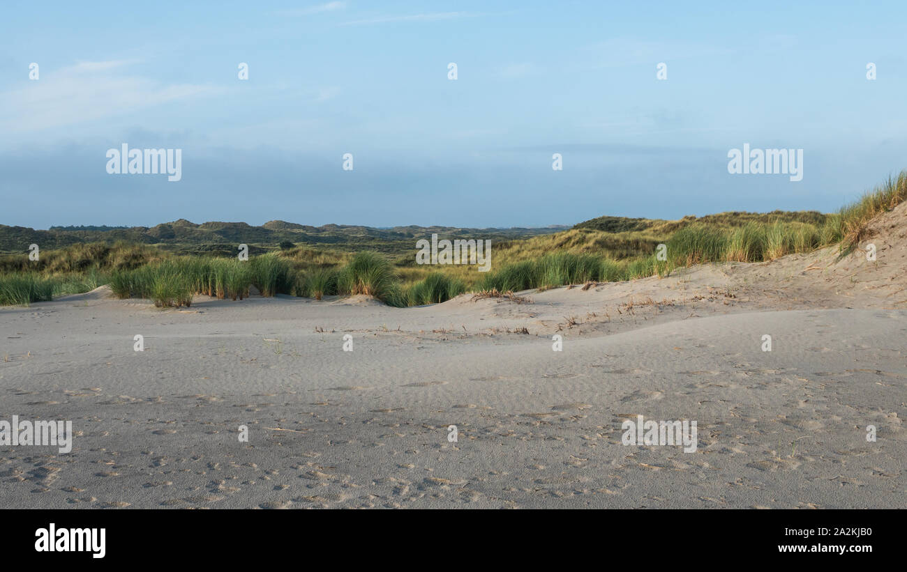 Grasbewachsene Dünen auf der Insel Terschelling Stockfoto