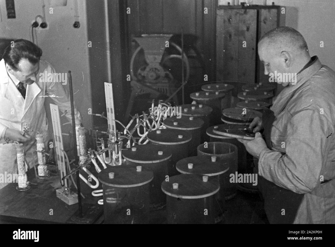 Forschungen zum Thema "Handwerker als Helfer der Wissenschaft' in der Biologischen Reichsanstalt für Land- und Forstwirtschaft in Berlin Dahlem, Deutschland 1930er Jahre. Forschungen zu dem Thema "Handwerker als Helfer der Wissenschaft" auf Biologische Reichsanstalt für Land- und Forstwirtschaft Institut in Berlin Dahlem, Deutschland 1930. Stockfoto