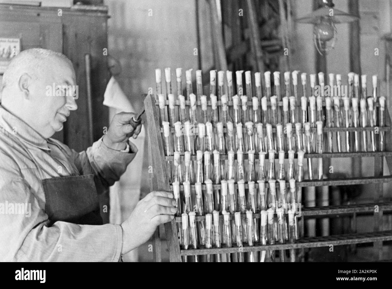 Forschungen zum Thema "Handwerker als Helfer der Wissenschaft' in der Biologischen Reichsanstalt für Land- und Forstwirtschaft in Berlin Dahlem, Deutschland 1930er Jahre. Forschungen zu dem Thema "Handwerker als Helfer der Wissenschaft" auf Biologische Reichsanstalt für Land- und Forstwirtschaft Institut in Berlin Dahlem, Deutschland 1930. Stockfoto