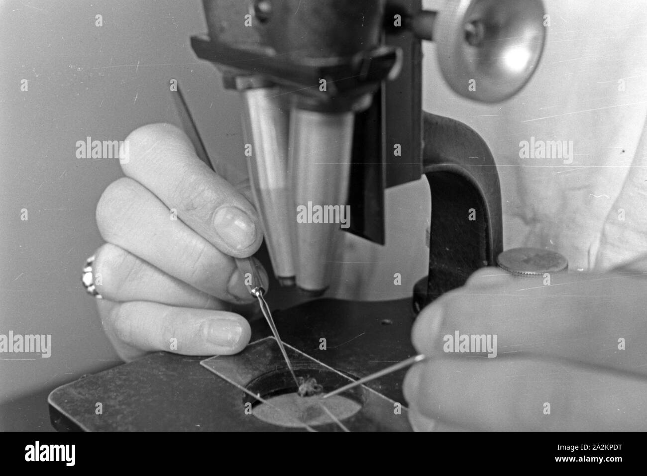 Hotels Landkarte Veranstaltungen Webcams Wetter news vom Robert Koch Institut in Berlin im Kampf gegen die Tsetse-Fliege, Deutschland 1930er Jahre. Mitarbeiter von Robert Koch Institut in Berlin tun Forschungen im Kampf gegen die Tsetse-fliege, Deutschland 1930. Stockfoto