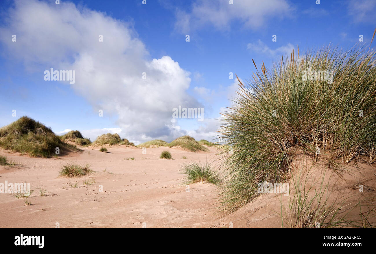 Sanddünen am Balmedie Beach Aberdeen Stockfoto