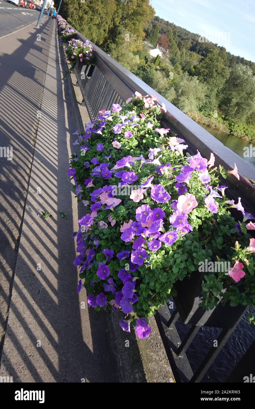 South Street Bridge Perth GROSSBRITANNIEN Stockfoto