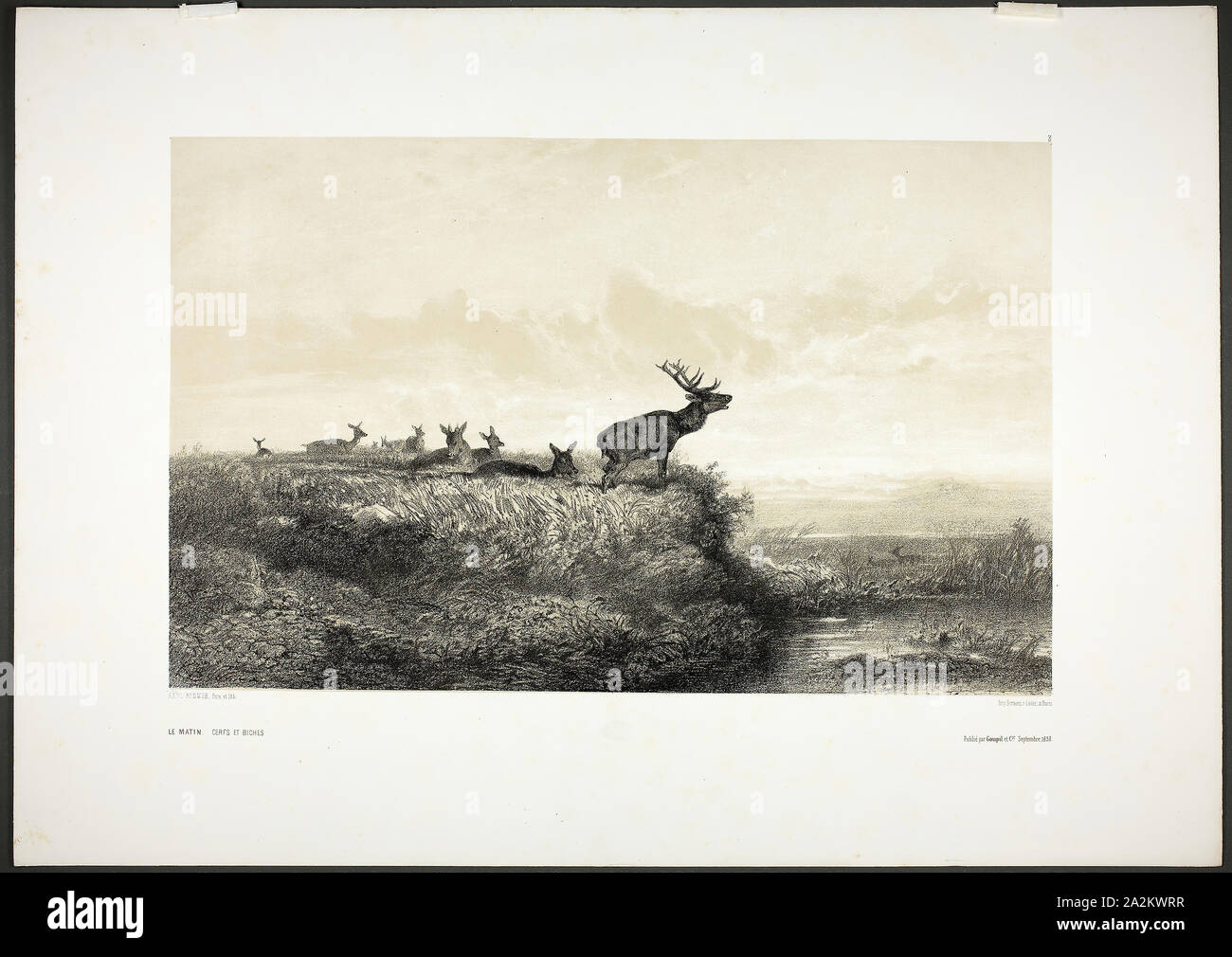 Morgens: die Hirsche und tut, 1858, Karl Bodmer, Schweizer, 1809-1893, Schweiz, Farbton Lithographie auf weißem webte Papier, 290 x 461 mm (Bild), 450 x 630 mm (Blatt Stockfoto