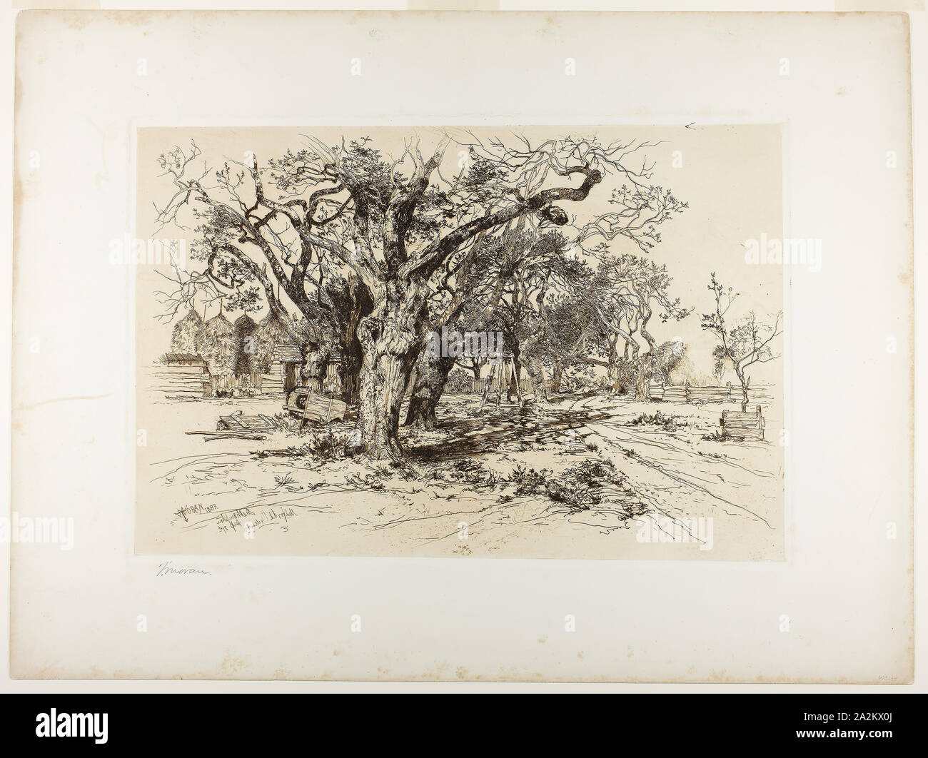 Mulford's Orchard, Easthampton, 1883, Thomas Moran, Amerikanische, geboren in England, 1837-1926, United States, Radierung in Braun, mit Platte Ton, Chine, legte sich auf weißen webte Karte, 290 x 437 mm (chine), 300 x 448 mm (Platte), 455 x 609 mm (Blatt Stockfoto