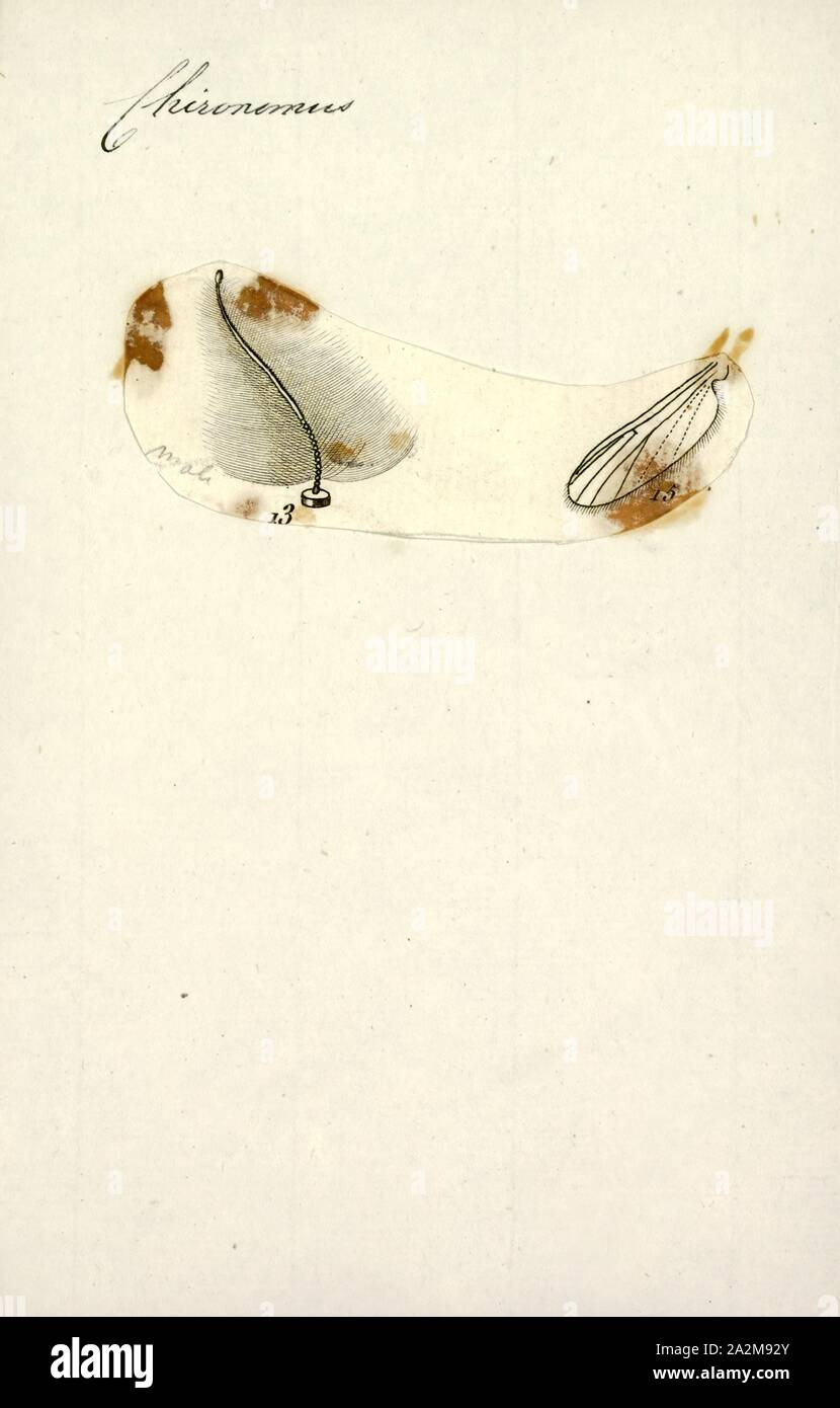 Mit mehreren kryptischen arten Fotos und Bildmaterial in hoher