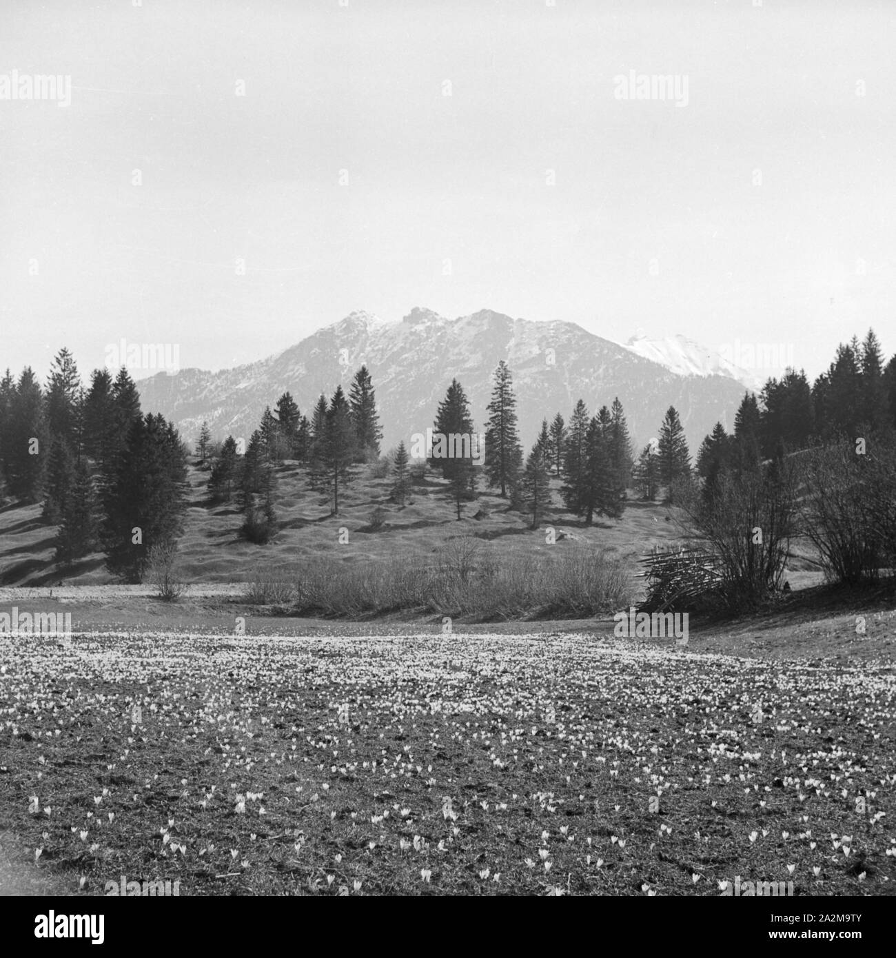 Berglandschaft im Frühling, Deutschland 1930er Jahre. Bergwelt im Frühling, Deutschland 1930. Stockfoto