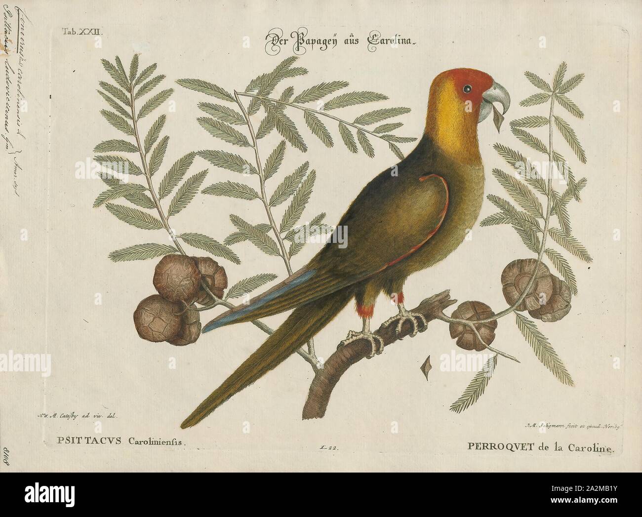 Ebenen staaten Fotos und Bildmaterial in hoher Auflösung Alamy