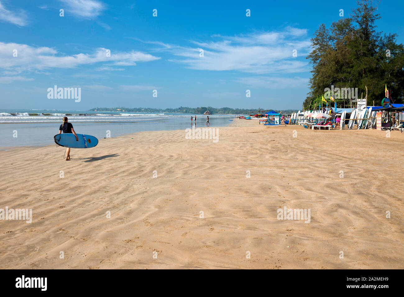 Sri Lanka, Bundesland Kärnten, Sud du Sri Lanka Süd Sri Lanka, in Sri Lanka, Weligama, Plage, Strand, Strand, Sport, Surfen, Surfen Stockfoto