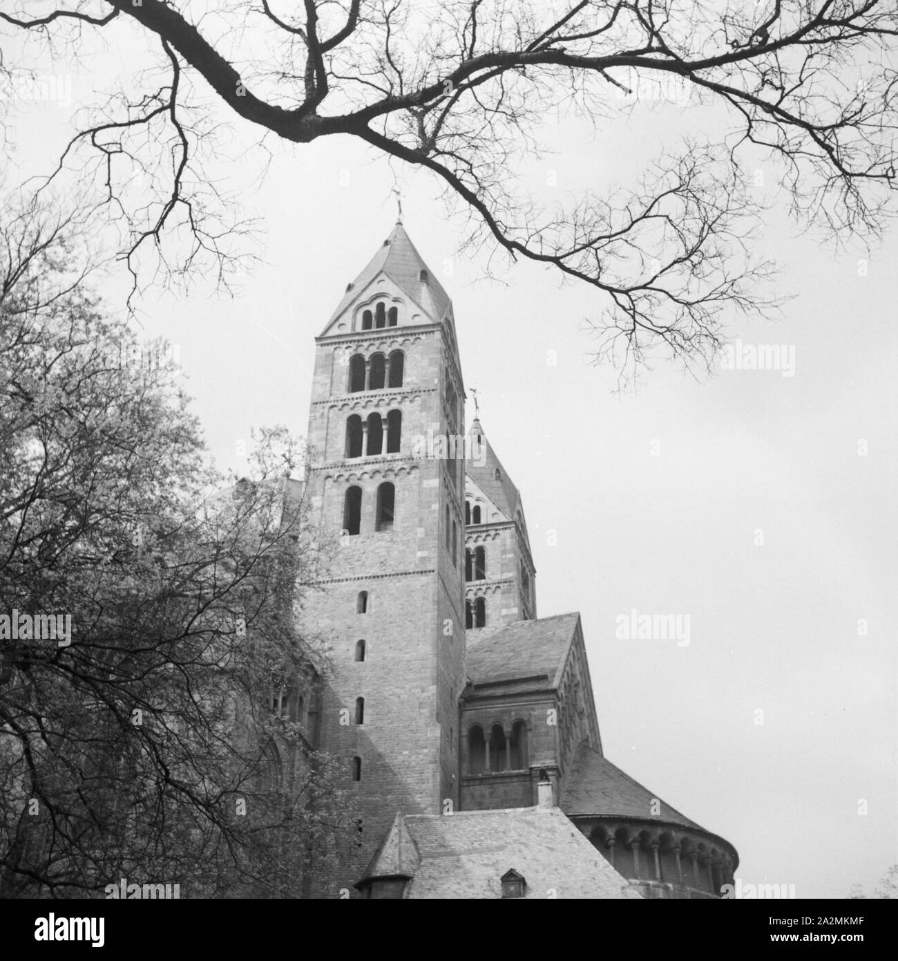 Domkirche St. Maria und St. Stephan Sterben in Speyer, Deutschland 1930er Jahre. St. Maria und St. Stephan Dom zu Speyer, Deutschland 1930. Stockfoto