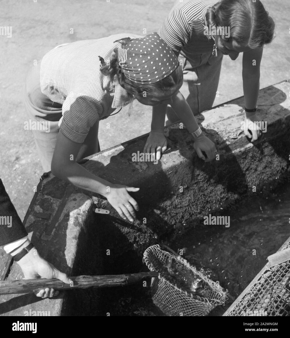 Zwei junge Frauen im Frühling, Deutschland 1930er Jahre. Zwei junge Frauen, die im Frühling, Deutschland 1930. Stockfoto