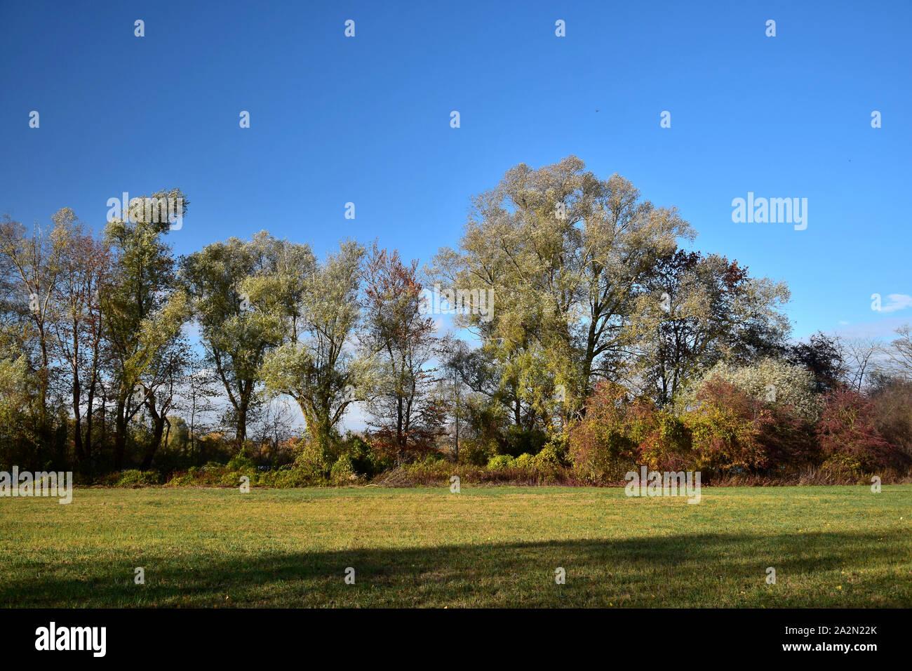 Herbst Landschaft mit einer Reihe von verschiedenen Bäumen und Wiese vor. Oberhausen-Rheinhausen, Baden-Württemberg, Deutschland. Stockfoto