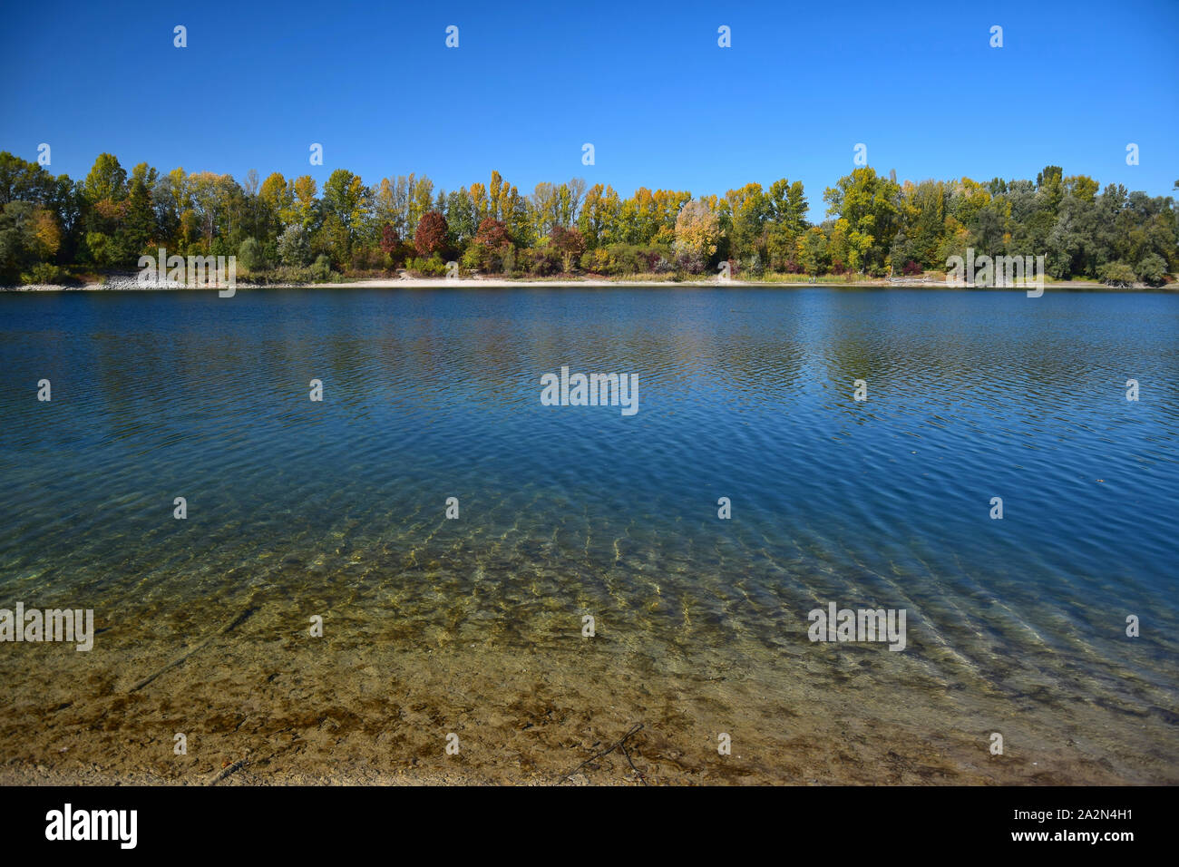 Herbst Landschaft. Ein See und Gelbe, rote und grüne Bäume im Hintergrund. 68782 Bruehl, Baden-Württemberg, Deutschland. Stockfoto