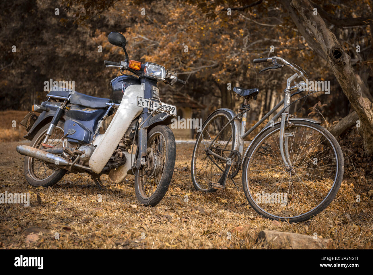 Die beiden beliebtesten Verkehrsträger in Sri Lanka, ein Zweitakt Moped und das Fahrrad. Stockfoto