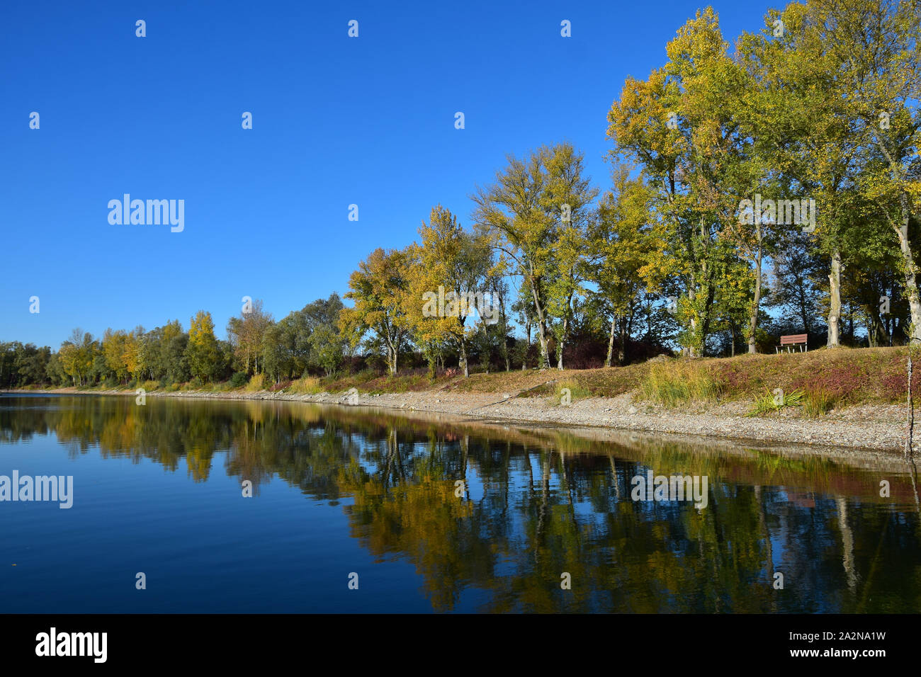 Herbst Landschaft. Ein See und gelbe und grüne Bäume, im See widerspiegeln. 68782 Bruehl, Baden-Württemberg, Deutschland. Stockfoto