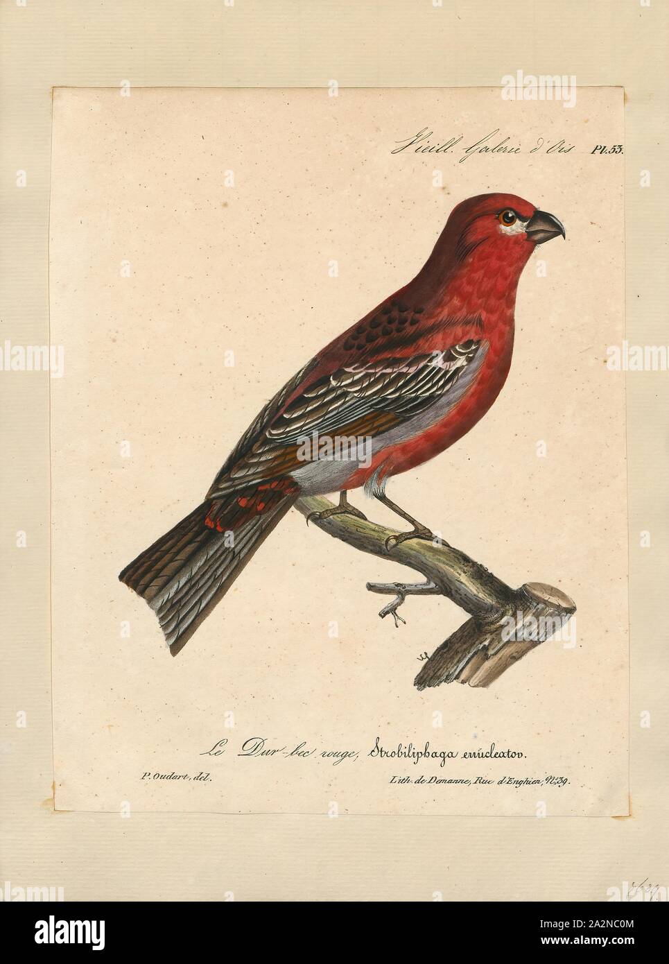 Die ernte einbringen Fotos und Bildmaterial in hoher Auflösung Alamy