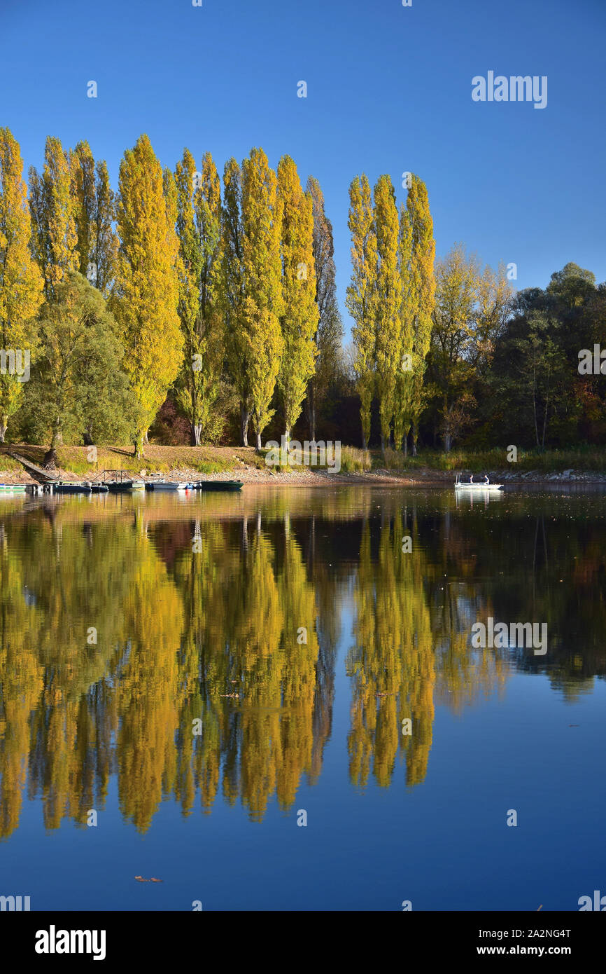 Herbst Landschaft. Ein See, einige Boote und zwei Personen fahren. Gelb Pappeln im Hintergrund. 68782 Bruehl, Baden-Württemberg, Deutschland. Stockfoto