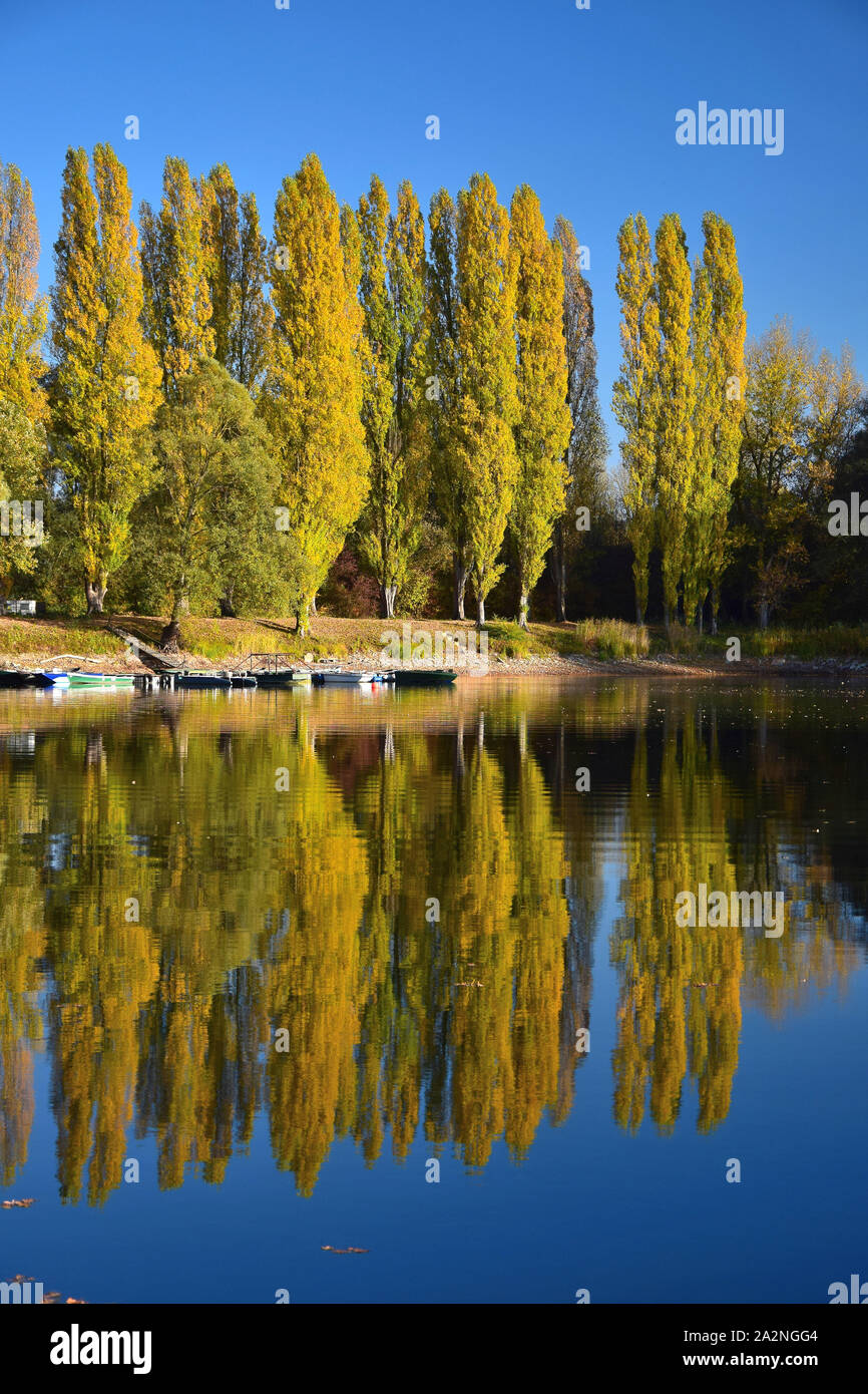 Herbst Landschaft. Ein See, einige Boote und gelb Pappeln im Hintergrund. Die Szene wird sich im Wasser. 68782 Bruehl, Baden-Wuerttemberg, Ger Stockfoto