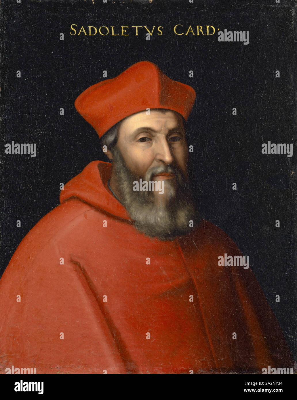 Portrait von Jacopo Sadoleto, Öl auf Leinwand, 77,5 x 62,5 cm, unsigniert., Oben: SADOLETVS KARTE • [INALIS], Pier Francesco Mola (di Papi) dell'Altissimo, (30 Spitzwimpel //Kopieren nach), um 1525 - 1605 Florenz Stockfoto