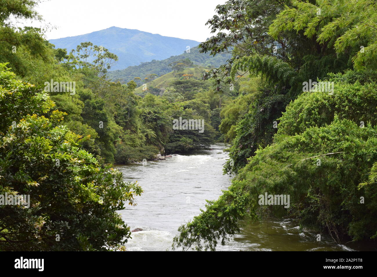 Paisajes de agua Stockfoto