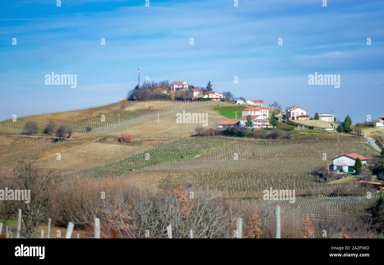 Schönen Herbst Landschaft der Weinberge auf die Hügel von Monferrato. Piemont - Italien Stockfoto