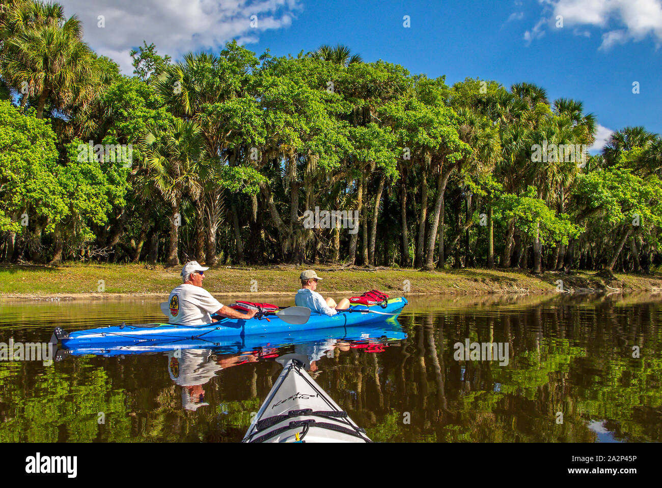 Mann, Frau, tandem Kayak, Fluss Szene, Wasser, Erholung, Sport, Wasser, Bäume, Marine, Reflexionen, friedlich, Myakka River State Park; Sarasota; Stockfoto