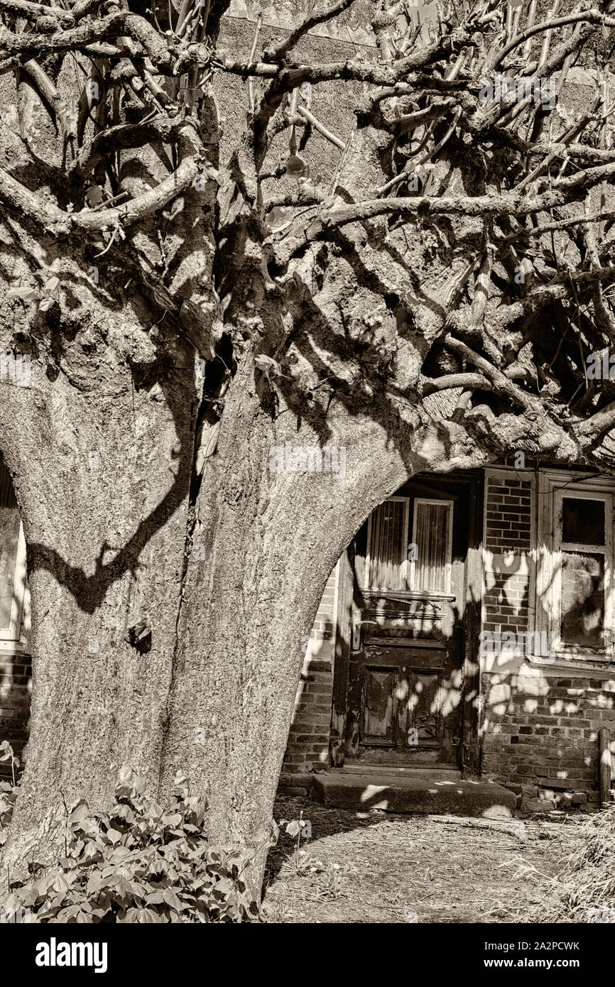 Altes Haus, Deutschland, Europa Stockfoto Altes Haus, Deutschland, Europa Stockfoto
