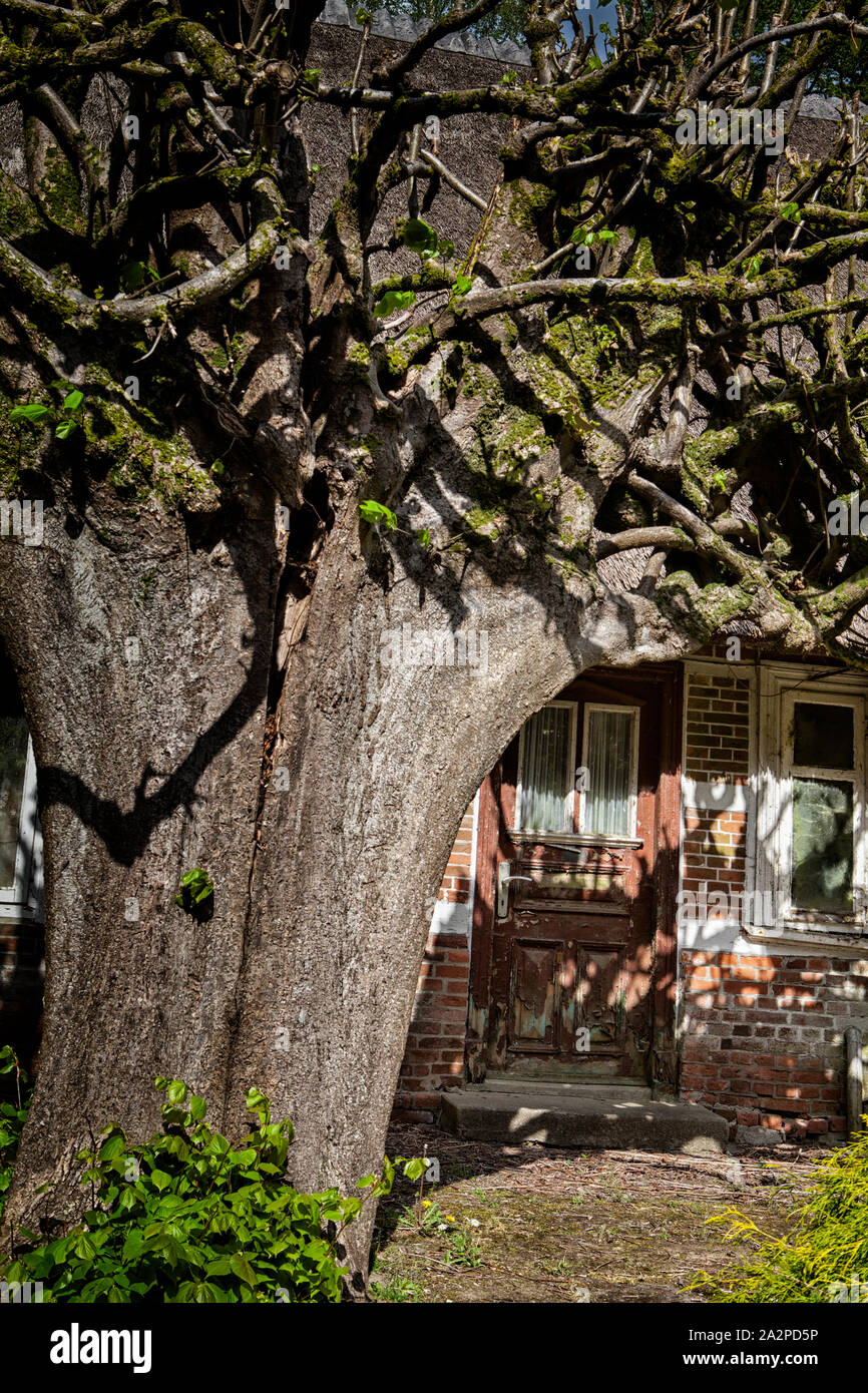 Altes Haus, Deutschland, Europa Stockfoto Altes Haus, Deutschland, Europa Stockfoto