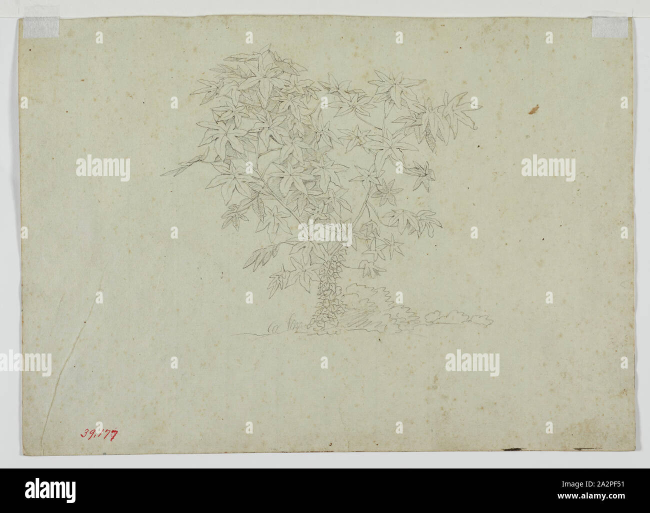 Thomas Cole, American, 1801-1848, Werk, 19. Jahrhundert, Graphit, Bleistift auf beige webte Papier, Blatt: 10 x 14 3/16 Zoll (25,4 × 36 cm Stockfoto