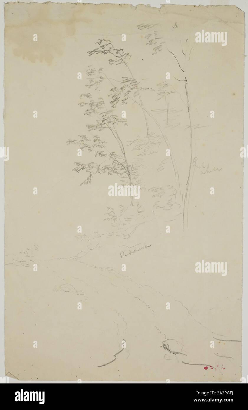 Thomas Cole, American, 1801-1848, Bäume und Strasse, zwischen 1801 und 1848, Graphit, Bleistift auf Papier, Blatt Creme wob: 10×6 1/4 Zoll (25,4 × 15,9 cm Stockfoto