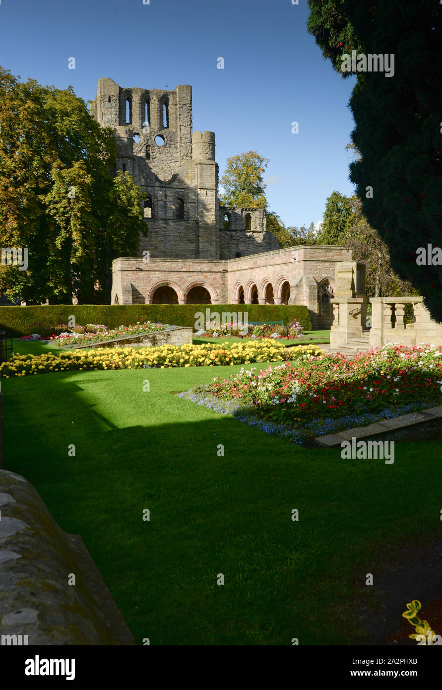 Die Ruinen von Kelso Abbey in den Scottish Borders am Ufer des Flusses Tweed Stockfoto