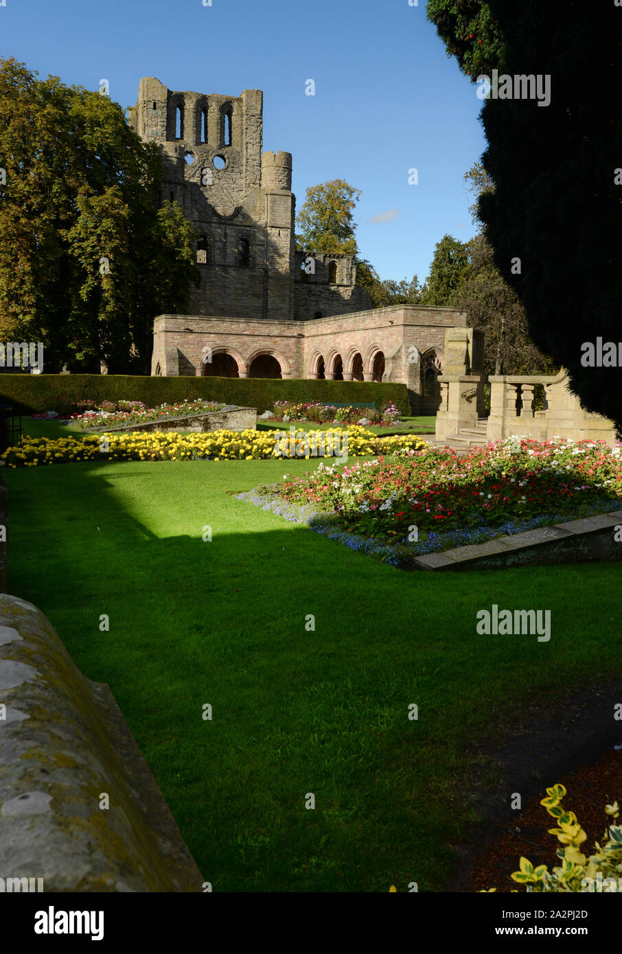 Die Ruinen von Kelso Abbey in den Scottish Borders am Ufer des Flusses Tweed Stockfoto