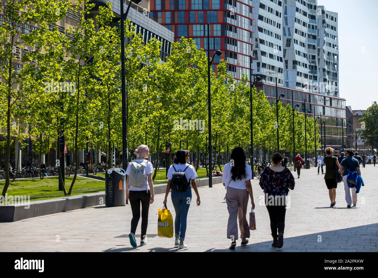 Die Innenstadt von Rotterdam, Niederlande, Kruisplein Promenade, Wohngebäude, Geschäfte, Stockfoto