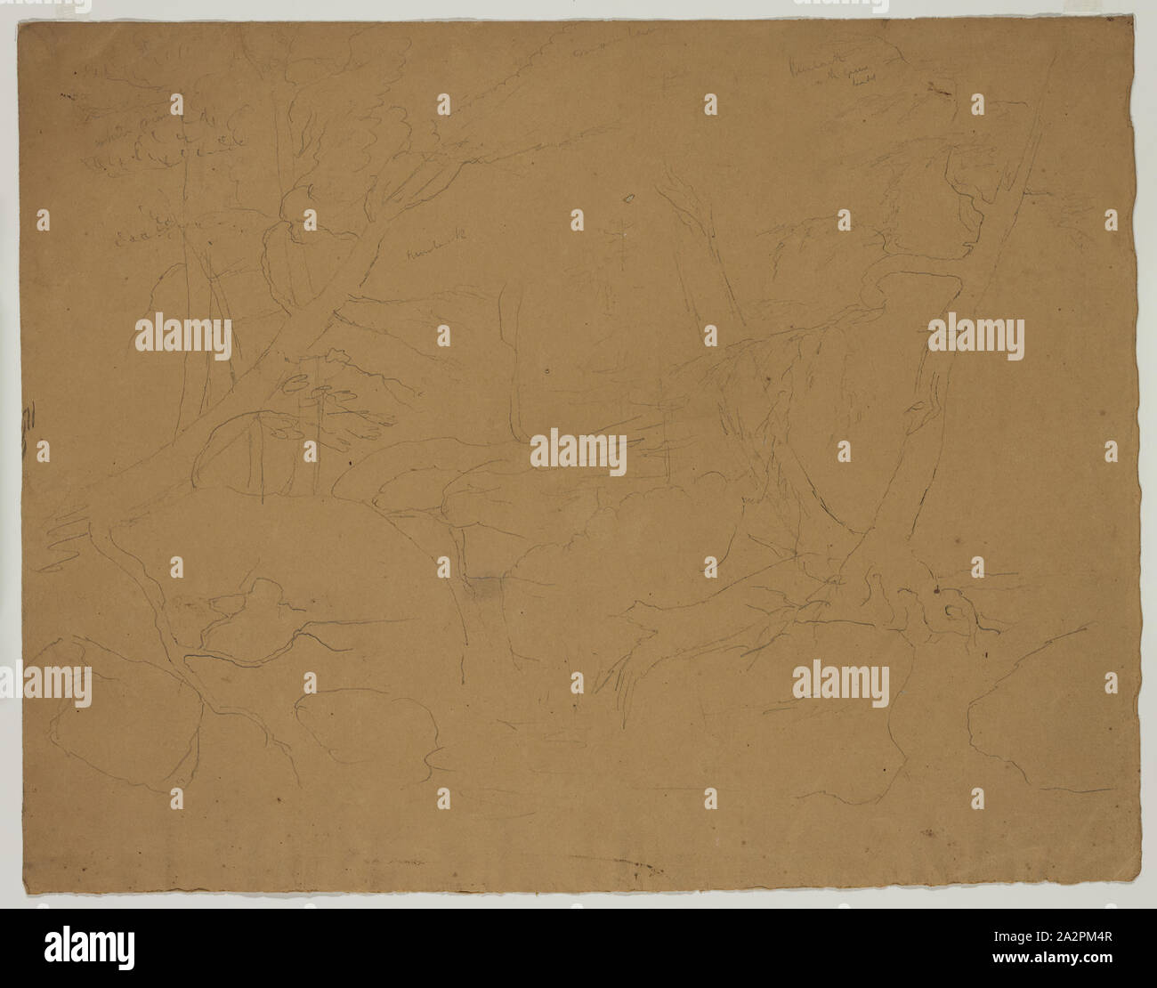 Thomas Cole, American, 1801-1848, Landschaft, 19. Jahrhundert, Graphit, Bleistift auf braunem Papier webten, Blatt: 9×11 5/8 Zoll (22,9 × 29,5 cm Stockfoto