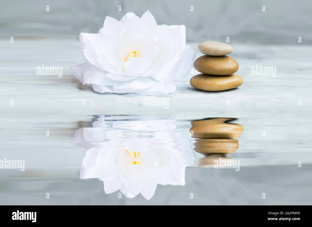 Spa noch Leben mit Seerosen und Massage Steine, beschauliche Ruhe wellness Szene Einstellung, Wasser Reflexion Stockfoto