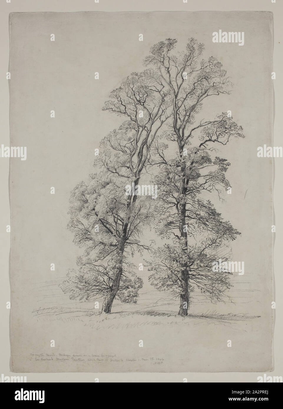 Samuel Palmer, Englisch, 1805-1881, zwei Bäume, zwischen 1805 und 1881, Graphit, Bleistift auf Papier Stockfoto