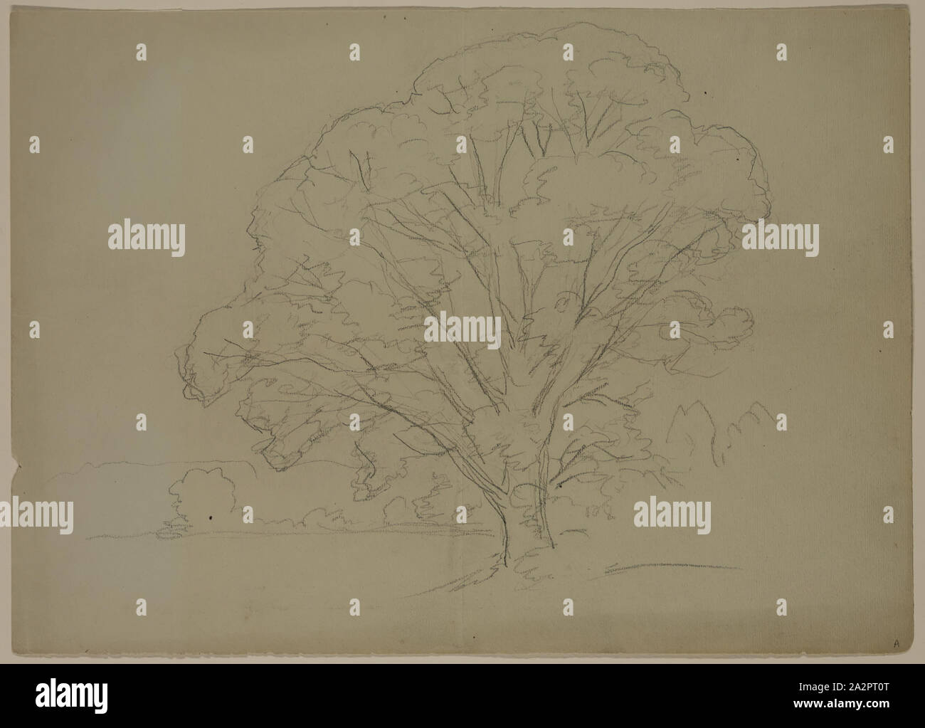 John W. Casilear, American, 1811-1893, Eiche, 19. Jahrhundert, Graphit auf Papier, Blatt: 9 7/8 x 13 7/8 Inch (25,1 × 35,2 cm Stockfoto