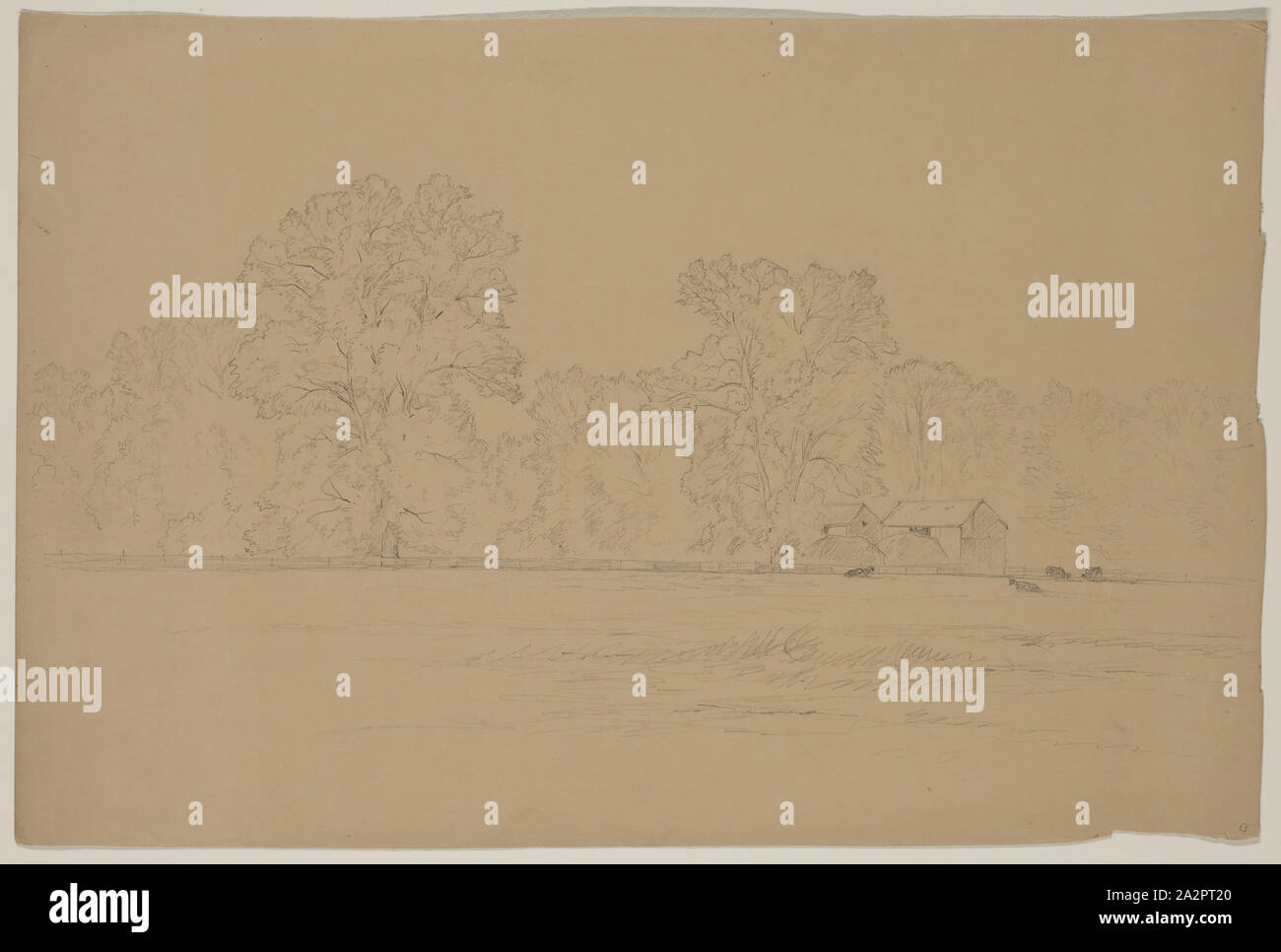 John W. Casilear, American, 1811-1893, Scheune und Eichen, 19. Jahrhundert, Graphit auf Papier, Blatt: 9 1/2 x 14 1/4 Inch (24,1 × 36,2 cm Stockfoto