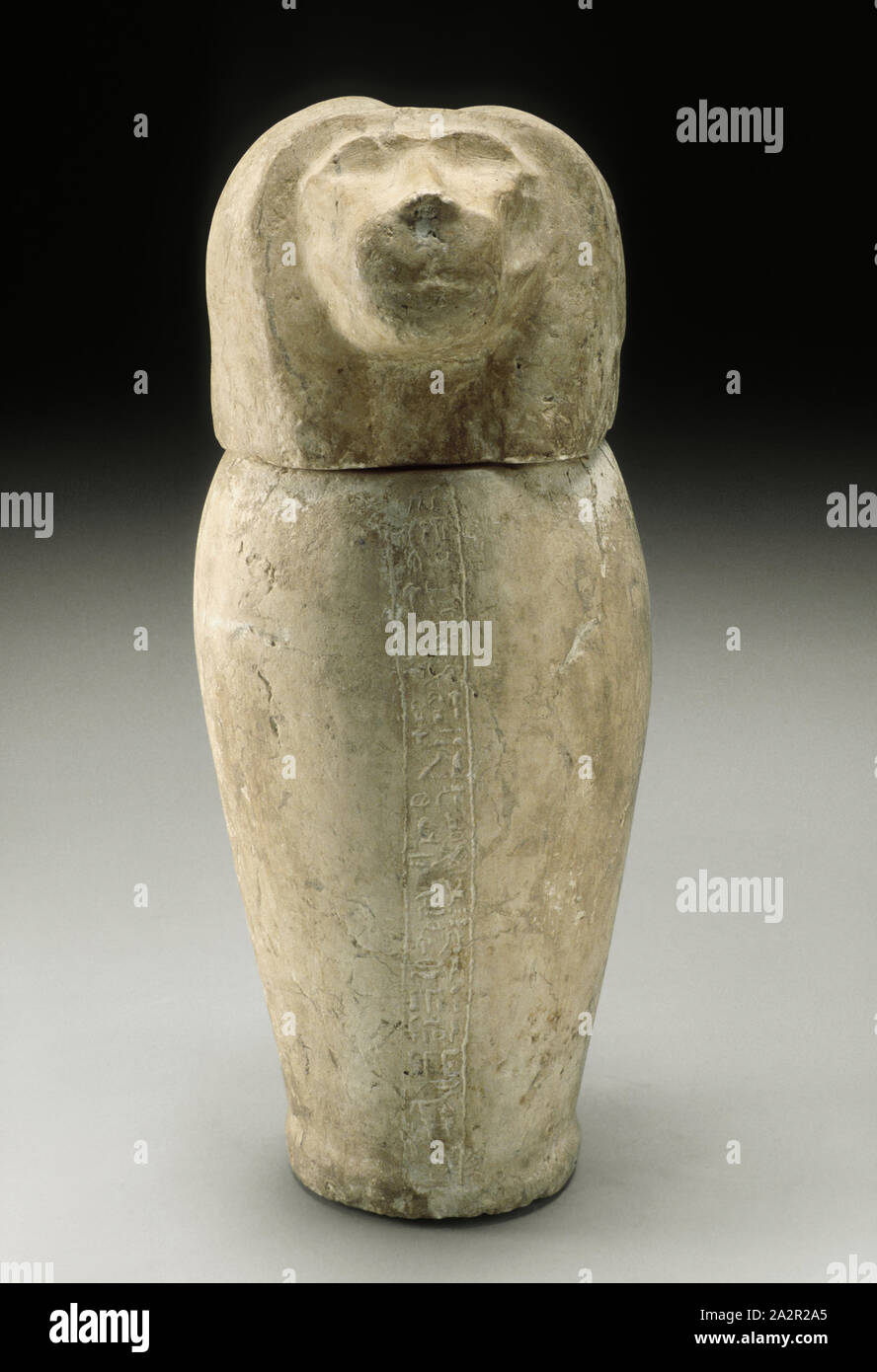 Ägyptische, Canopic Jar mit Cynocephalous Kopf, 1080/720 BC, Kalkstein, 17 1/2 x 7 1/8 x 8 1/4 in. Durchmesser. (44,4 x 18,1 x 21 cm Stockfoto