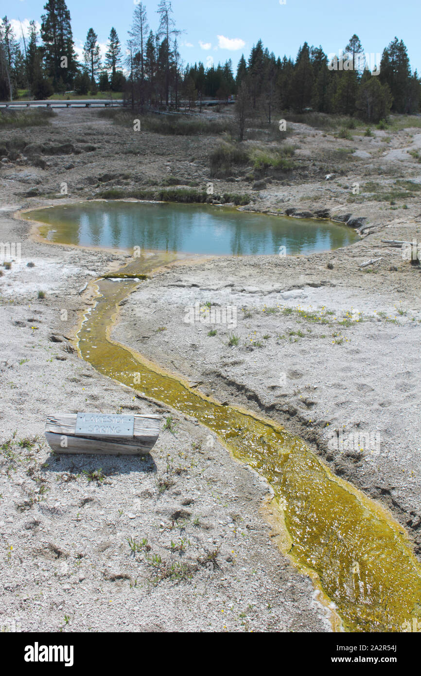 Extremophile Bakterien Abfluss, See Seite Frühling, Yellowstone National Park, Wyoming, USA Stockfoto